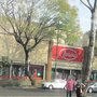 Photo of Telas Parisina Miramontes