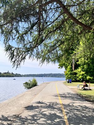 Green Lake Park by null