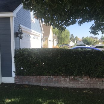 Aptive Pest Control - Photo of our brick planter hedge, taken from neighbor's yard. - Pest Control Near Me - Corona, California