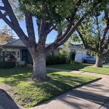 Linda Vista Landscaping - Landscaping Near Me - Acampo, California Linda Vista Landscaping - Landscaping Near Me - Acampo, California