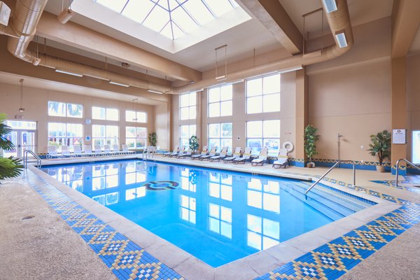 Miccosukee Casino & Resort by null