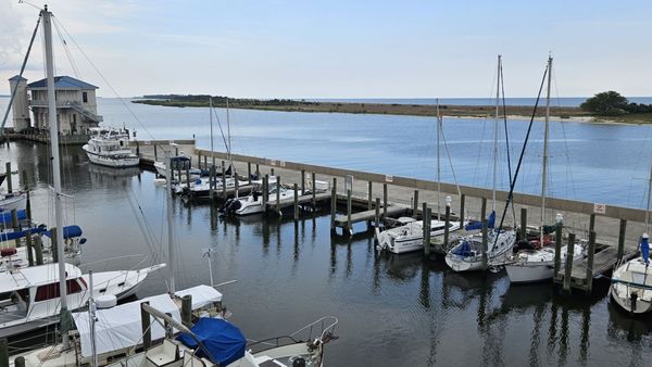 McElroy's Harbor House by null