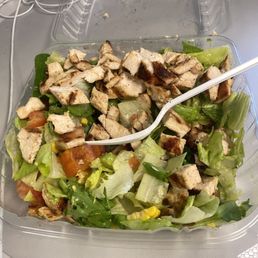Garden Chicken Salad with extra chicken and no cheese Garden Chicken Salad with extra chicken and no cheese