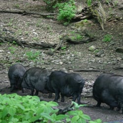 Tierpark Rosegg