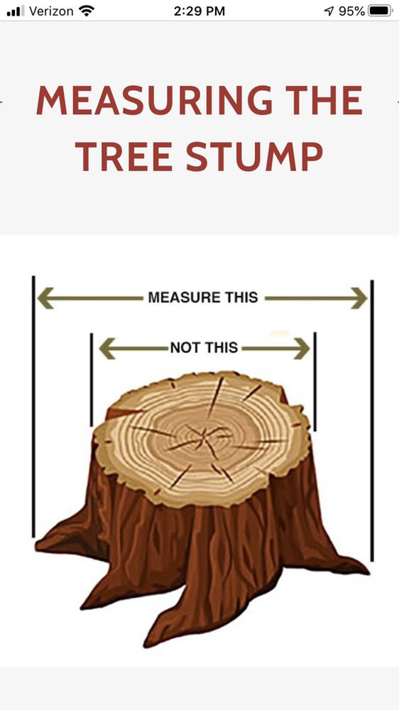 JR Stump Grinding - tree service in Tacoma, WA