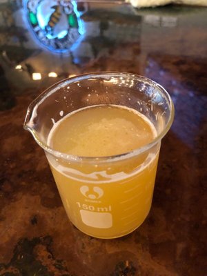 Buzz Bomb Brewing Co by null