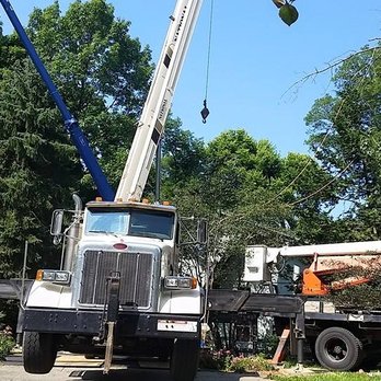 Cox Tree Service - Tree Services Near Me