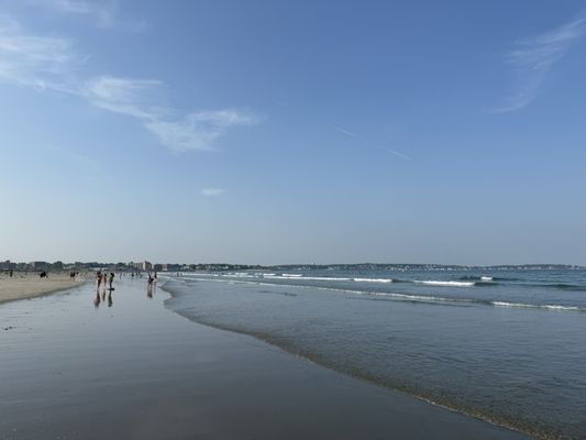 Nahant Beach by null