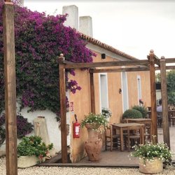 trattoria cucumiao - Ingresso