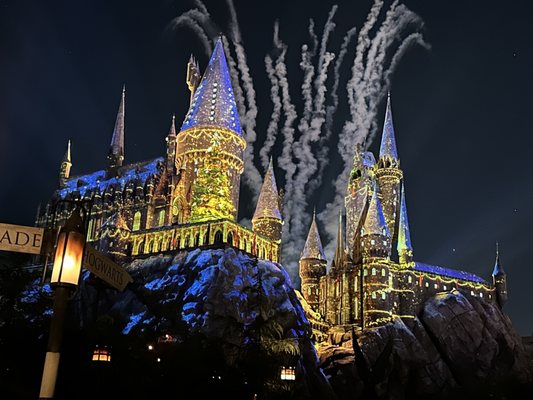 The Wizarding World of Harry Potter by null