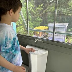 The Rusty Stone - Honey Bee hive live viewing.