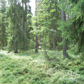 Wanderweg - Hotels & Travel Near Me