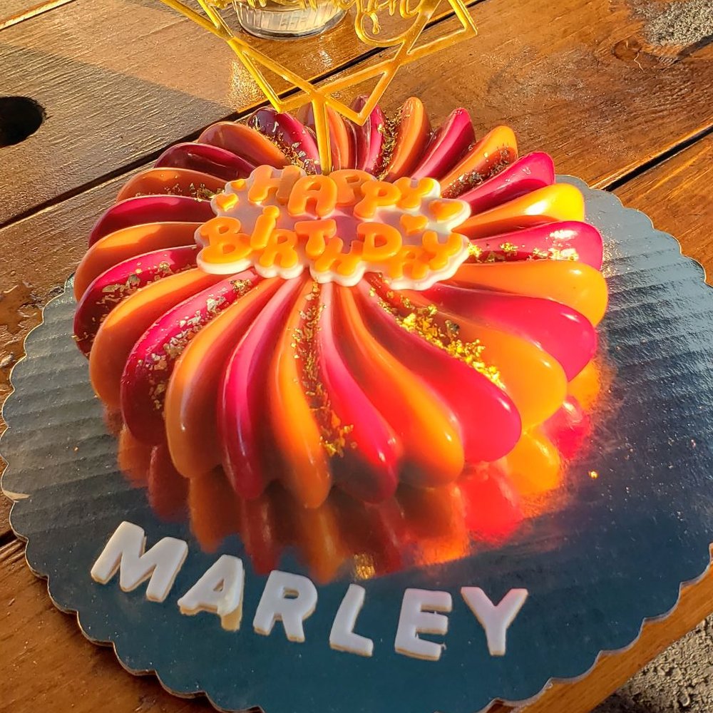 Mishka - Marley's birthday turkey cake! - Pet Stores Near Me - San Francisco, California Mishka - Marley's birthday turkey cake! - Pet Stores Near Me - San Francisco, California