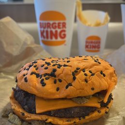 a cheeseburger and fries a cheeseburger and fries