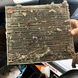 Drive & Shine - Bought my car 2 months ago and this is what was in it