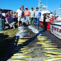 Fintastic Sportfishing - Lots of fish!!!