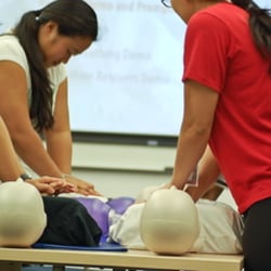 LifeSaver CPR - BLS CPR Classes