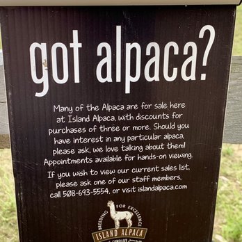 Island Alpaca - LOL... - Knitting Supplies Near Me - Oak Bluffs, Massachusetts