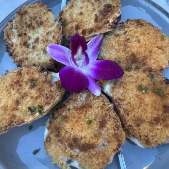 Bistro La Cave - Oysters Rockefeller - Bars Near Me - Camden, Maine