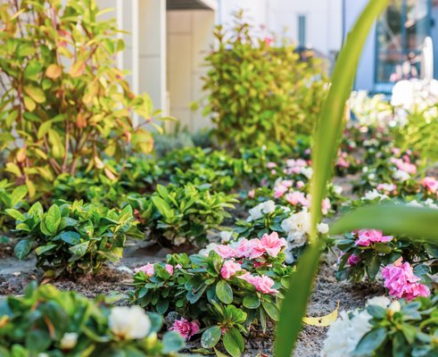 Jardim da Batalha Boutique Hotel by Shiadu by null