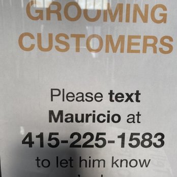 Here, Doggy! - Pet Groomers Near Me - South San Francisco, California Here, Doggy! - Pet Groomers Near Me - South San Francisco, California