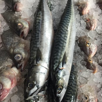 Ok Fish Market - Fresh mackerel - Seafood Markets Near Me - Paterson, New Jersey Ok Fish Market - Fresh mackerel - Seafood Markets Near Me - Paterson, New Jersey