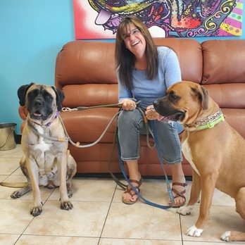 Canine Rescue Coalition - Pet Adoption Near Me - Goodyear, Arizona