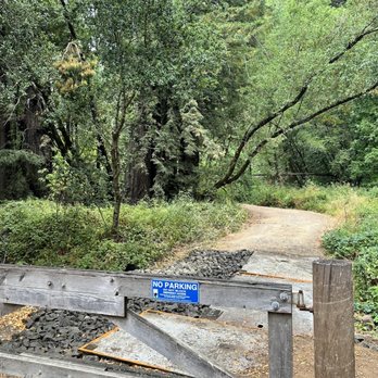 Roys Redwoods Preserve - Parks Near Me - Marin, California