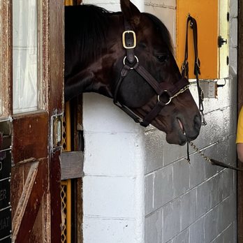 Claiborne Farm - Horse Racing Near Me - Paris, Kentucky