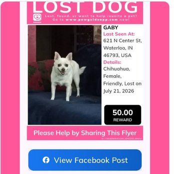Buckeye Veterinary Hospital - help us find our sweet heart 2602328720,email  katcarving@yahoo.com - Veterinarians Near Me - Edgerton, Ohio