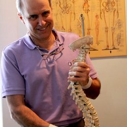 Cutting Massage Chiropractic - Posture and the human suspension system