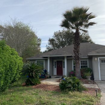 Treeco - Jacksonville - Front yard after arborists. Focused on Palm tree, and the removal of dead palm fronds. - Tree Services Near Me - Jacksonville, Florida