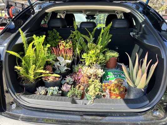 C & S Nursery by null