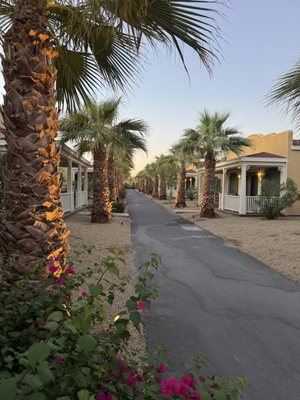 The Oasis at Death Valley by null