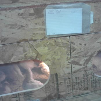 Chickens Galore - Pet Stores Near Me - Norco, California Chickens Galore - Pet Stores Near Me - Norco, California