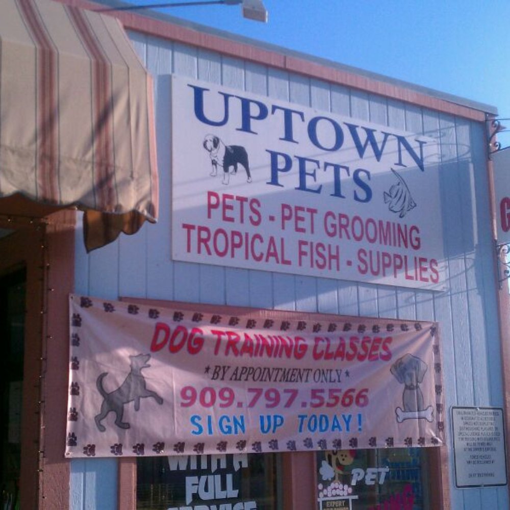 Uptown Pets - Pet Stores Near Me - Yucaipa, California Uptown Pets - Pet Stores Near Me - Yucaipa, California