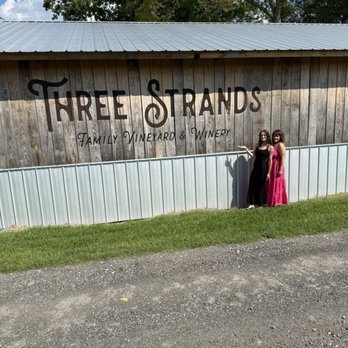 Three Strands Vineyard and Winery - Entrance sign! - Wineries Near Me - Dallas, Georgia