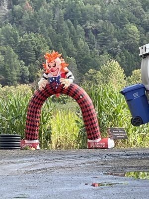 Brosi's Sugartree Farms by null