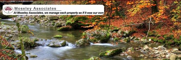 Moseley Associates Ltd.