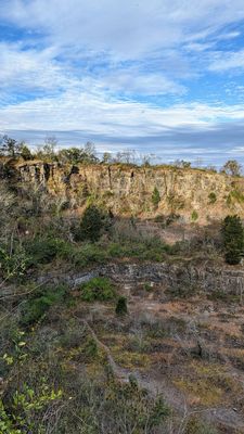 Ruffner Mountain by null