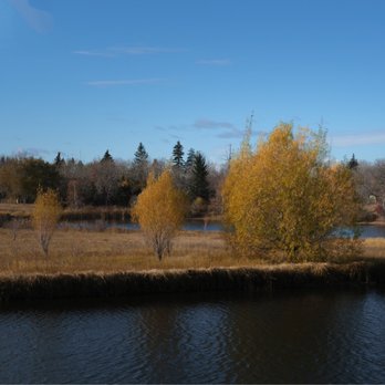 Broadmoor Lake - Trees - Parks Near Me - Sherwood Park, Alberta Broadmoor Lake - Trees - Parks Near Me - Sherwood Park, Alberta