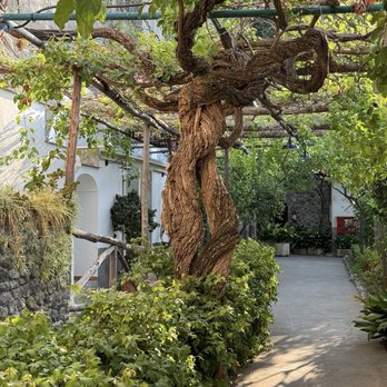 Hotel Pupetto - Grounds - Hotels Near Me - Positano, SA Hotel Pupetto - Grounds - Hotels Near Me - Positano, SA