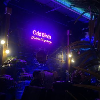 Odd Birds Kitchen and Cocktail Lounge - Cocktail Bars Near Me - Saint Augustine, Florida Odd Birds Kitchen and Cocktail Lounge - Cocktail Bars Near Me - Saint Augustine, Florida