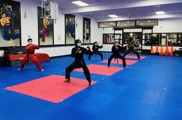 TAEKWO Adult Kids WT Taekwondo Dobok Childs TKD Uniform Suit Dragon