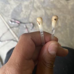 What came out of her ears after she got "groomed" What came out of her ears after she got "groomed"