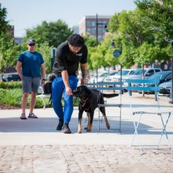 Coastal Elite K9 Training