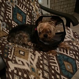 My poor sweet little girl needed her meds. Shame on them for falsely advertising the timing of closing! My poor sweet little girl needed her meds. Shame on them for falsely advertising the timing of closing!