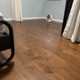 Photo of Cooper Floor Installation