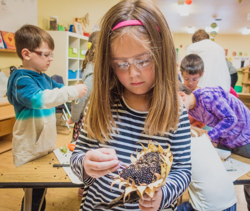 Seabury School - childcare center in Tacoma, WA