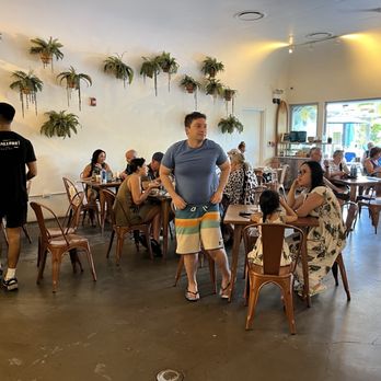 Hawaiian Aroma Caffe - Inside the cafe - Cafes Near Me - Honolulu, Hawaii Hawaiian Aroma Caffe - Inside the cafe - Cafes Near Me - Honolulu, Hawaii